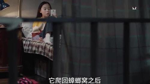 蛇姐最新爆料视频在线看,精彩内容抢先看! 第1张 蛇姐最新爆料视频在线看,精彩内容抢先看! 第1张