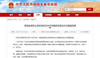 最新爆料湖南新闻,最新爆料揭示惊人内幕! 第1张 最新爆料湖南新闻,最新爆料揭示惊人内幕! 第1张