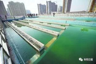 石家庄水厂爆料视频大全,揭露水质问题背后的真相 第2张 石家庄水厂爆料视频大全,揭露水质问题背后的真相 第2张